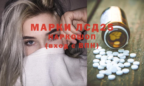 spice Аркадак