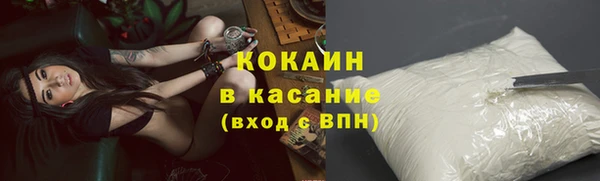 ГАЛЛЮЦИНОГЕННЫЕ ГРИБЫ Арсеньев