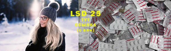 spice Аркадак
