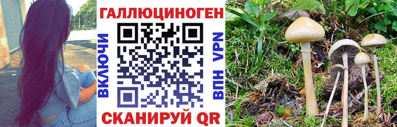 Галлюциногенные грибы Magic Shrooms  Буинск 